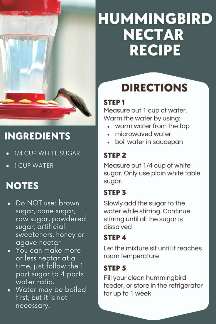 the instructions for hummingbird nectar recipe include instructions on how to use them and what to put in it