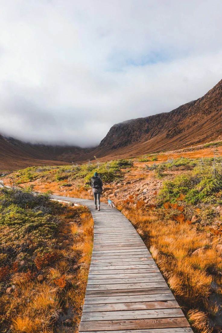 a person walking down a wooden path in the middle of a grassy area with mountains in the background