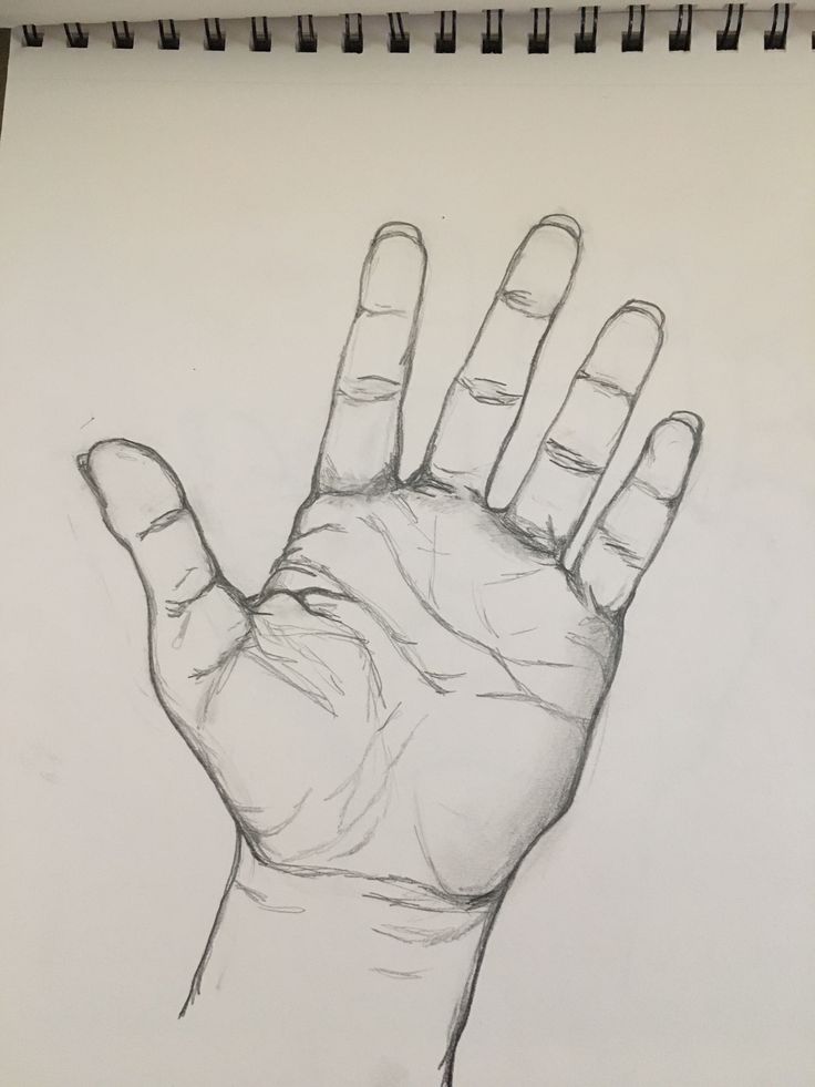 a pencil drawing of a hand holding something in it's left hand, with the middle finger extended out