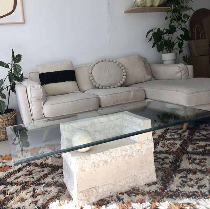 a living room with a couch, coffee table and potted plants