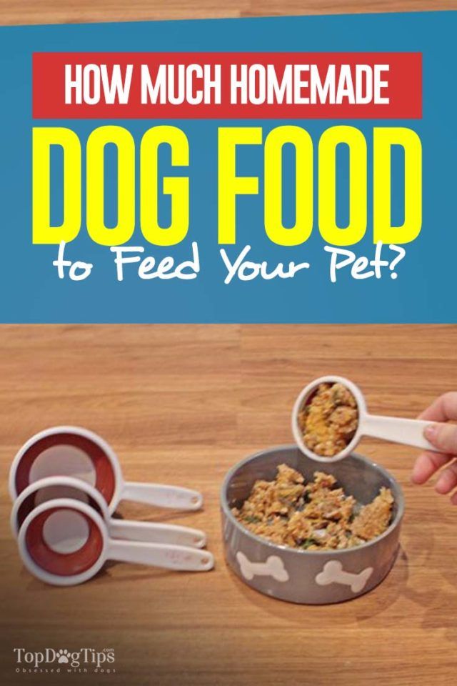 a person is feeding their dog food out of a bowl with the words how much homemade dog food to feed your pet?