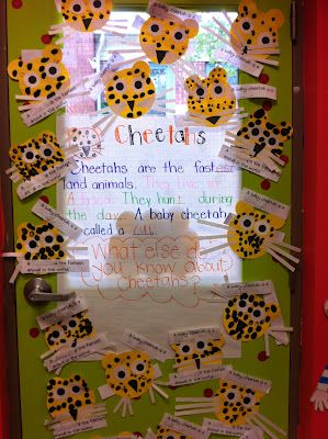 a classroom door decorated with ladybugs and other things that are attached to it