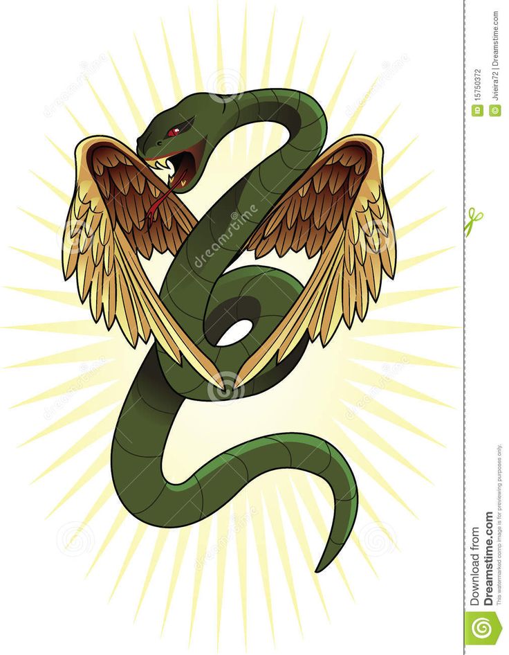 a green snake with wings on it's back and the letter s in the middle