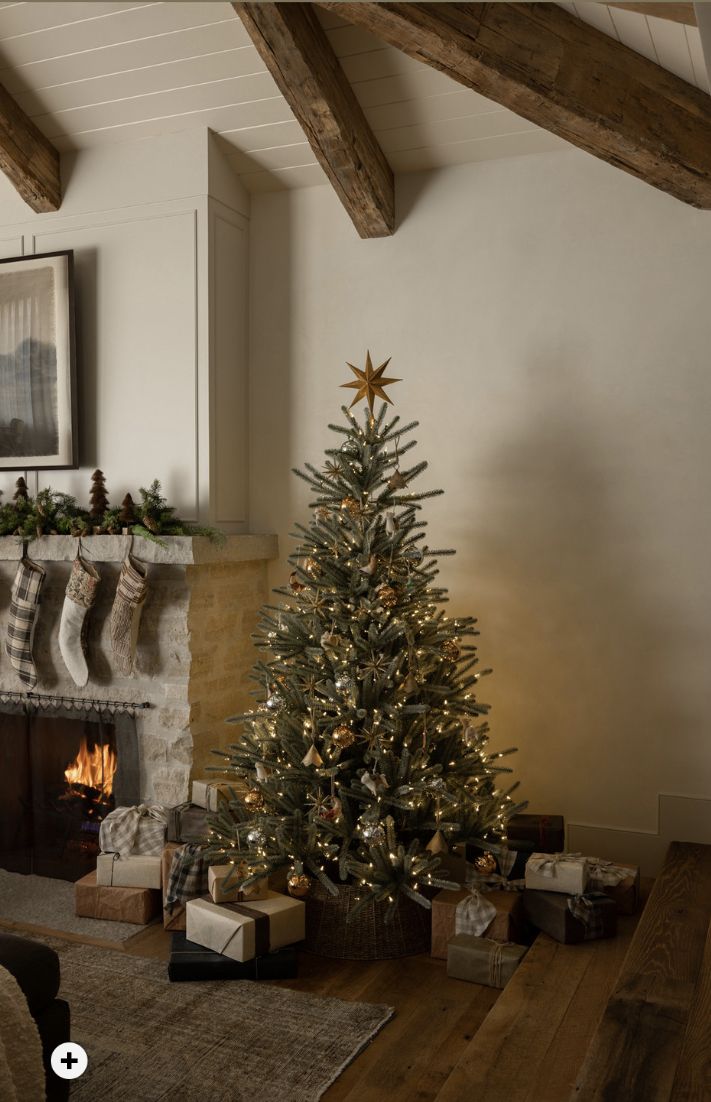 a living room with a christmas tree and fireplace