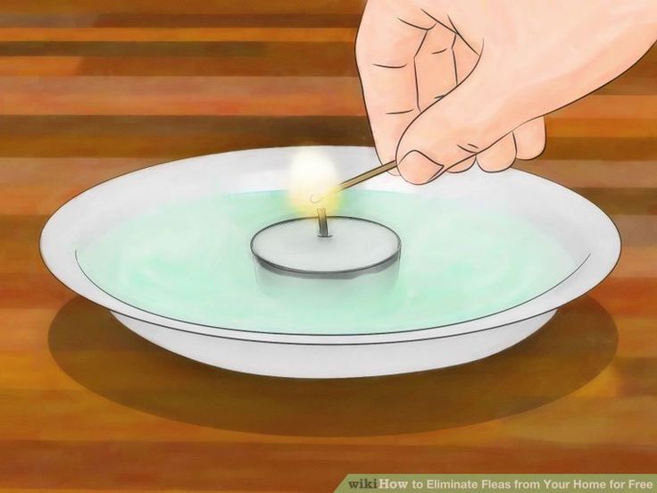 a person lighting a candle on top of a plate