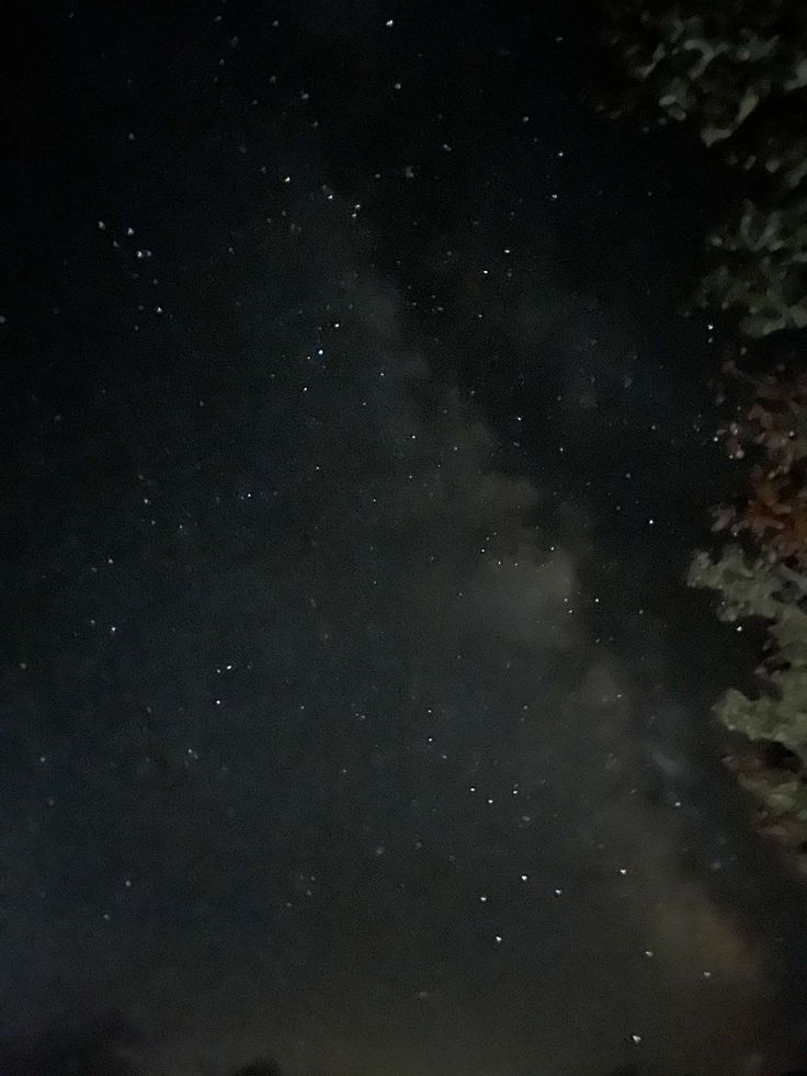 Stars, beautiful sky, night, night sky, Starry night, stars, star gazing, beautiful, photo ideas Backyard Night, Sky Watching, Stars Beautiful, Wild Star, Night Stars, Sky Night, Star Gazing, Look At The Sky, Night Night