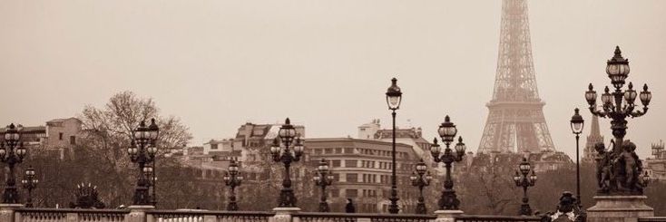 the eiffel tower towering over the city of paris, france in sepia