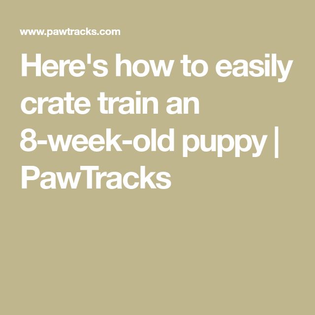 the words here's how to easily crate train an 8 - week old puppy pawtracks