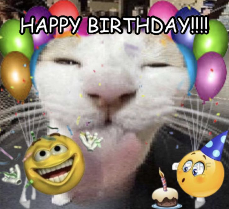 a happy birthday card with an image of a white cat and balloons in the background