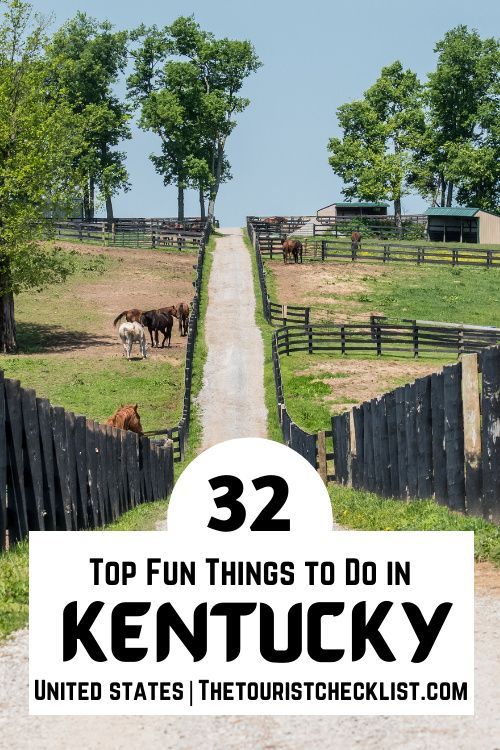 a dirt road with horses in the background and text overlay that reads 32 top fun things to do in kentucky