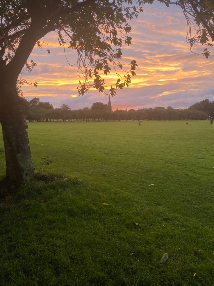 the sun is setting over an open field with people on it and trees in the foreground