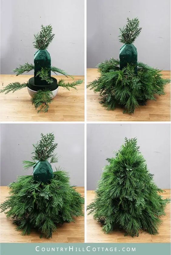 four different shots of a potted plant in the process of being placed on a table