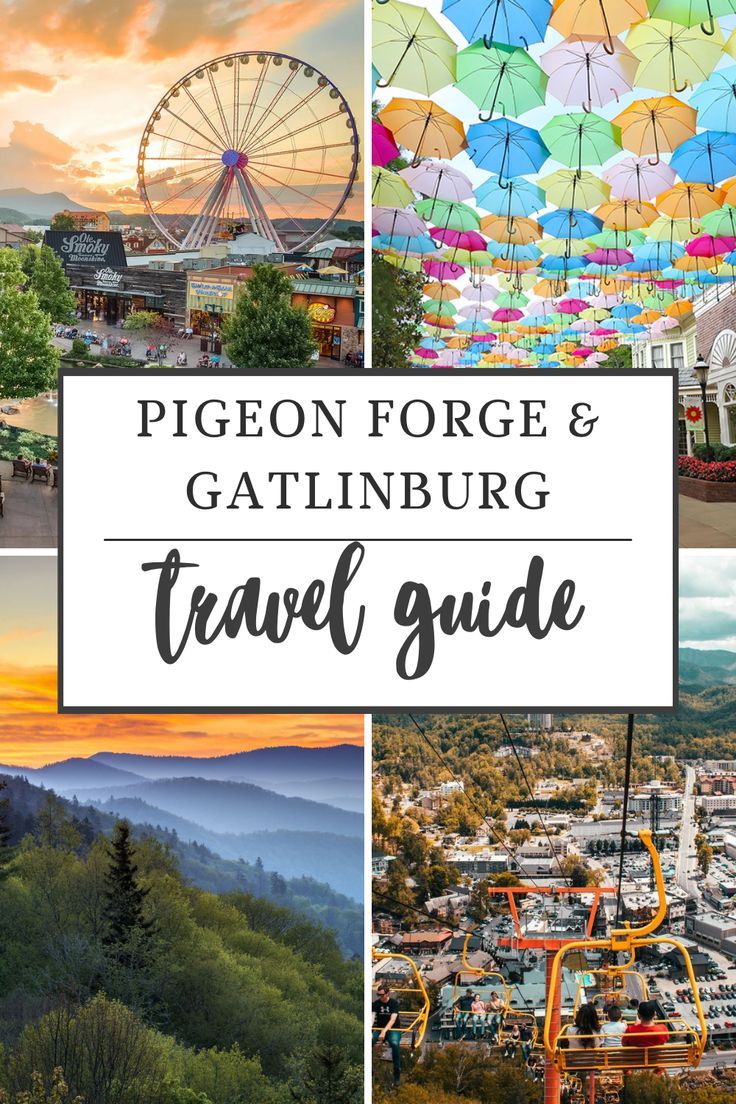 the pigeon - force and gatlinburg travel guide is featured in this collage