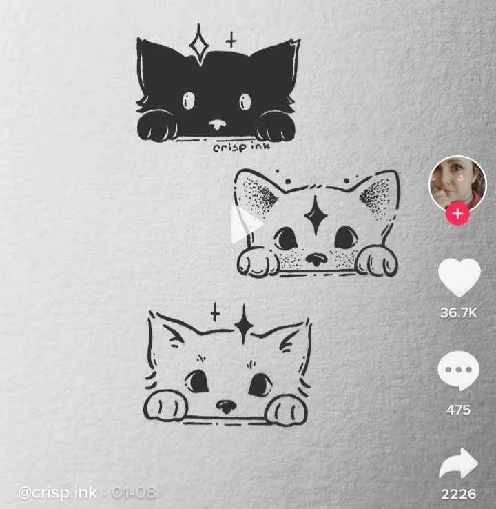 two cats with different designs on them