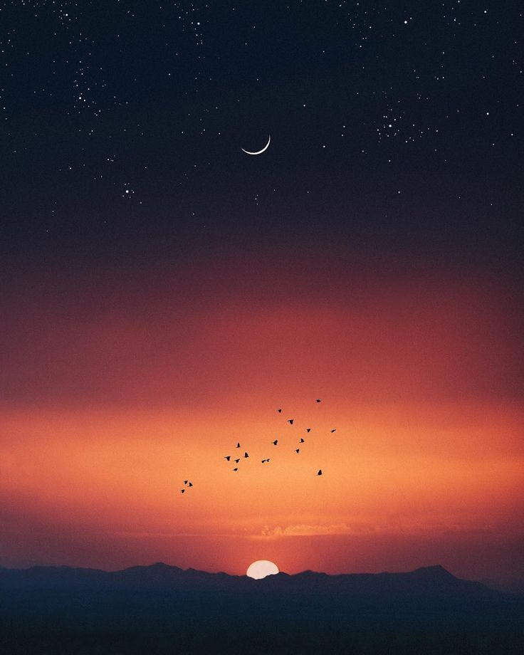 birds flying in the sky at sunset with mountains in the background and stars above them