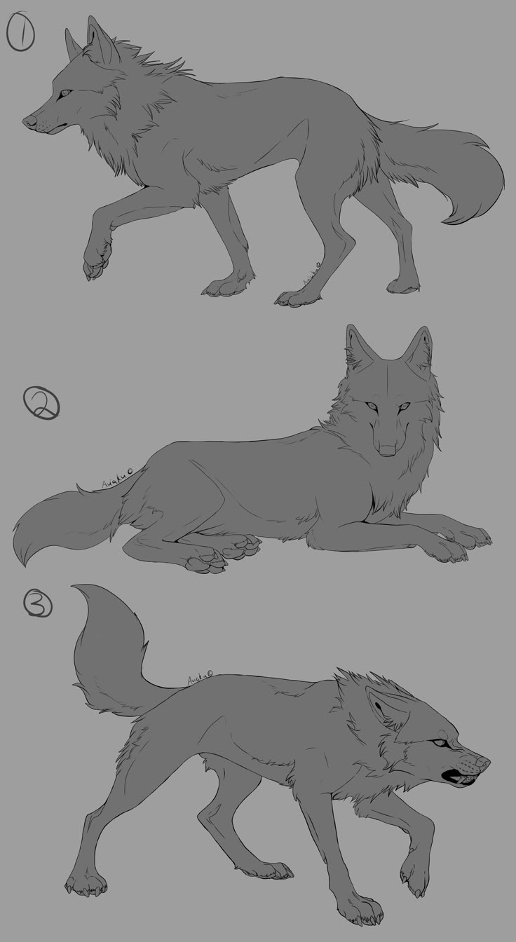 three wolfs are shown in different poses