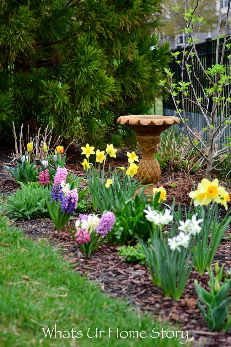 a garden with flowers and a birdbath in the middle