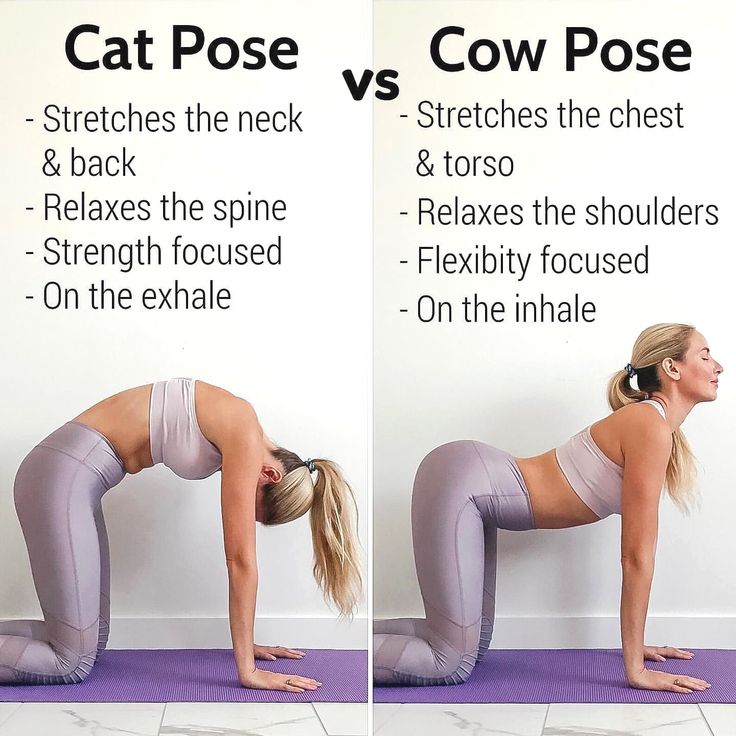 a woman doing yoga poses with the words cat pose and cow pose on each side