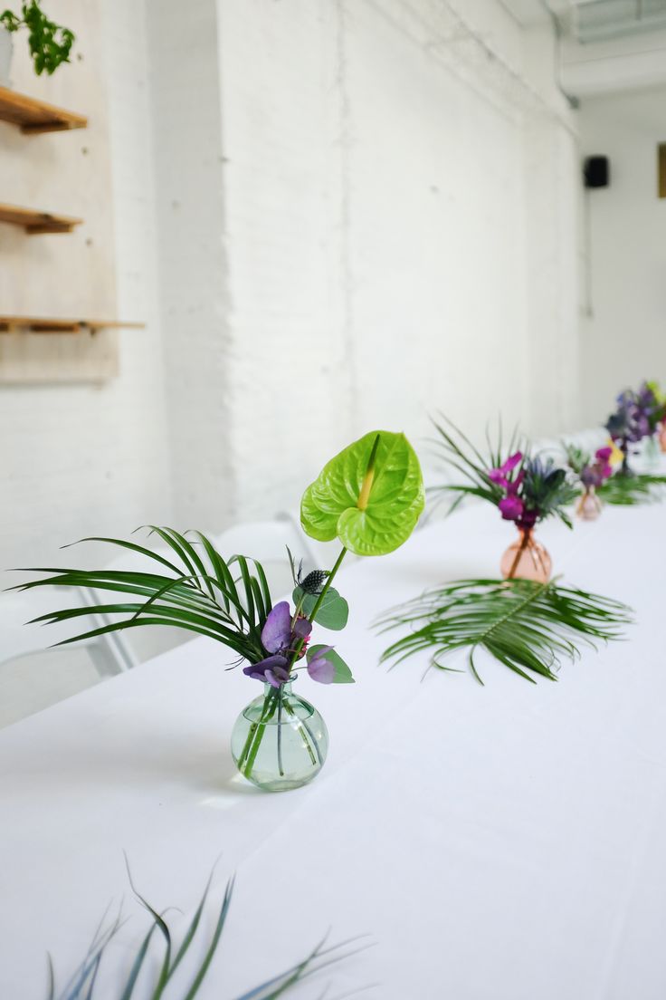 three vases filled with plants sitting on top of a white table covered in green leaves