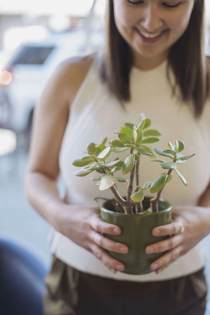 a woman holding a potted plant in her hands