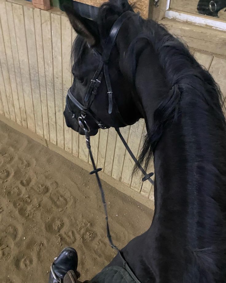 a black horse standing next to a wooden wall in an enclosure with sand on the ground