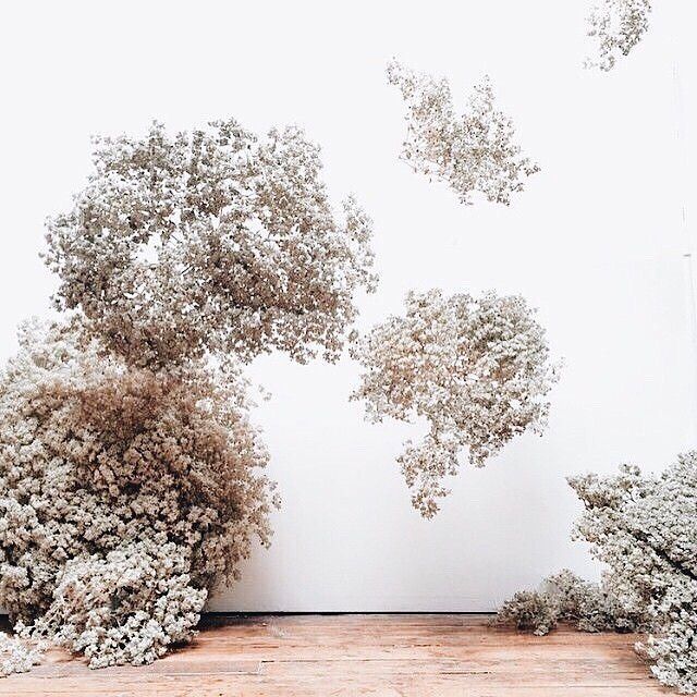 three trees are standing in front of a white wall and wood flooring with no leaves on them