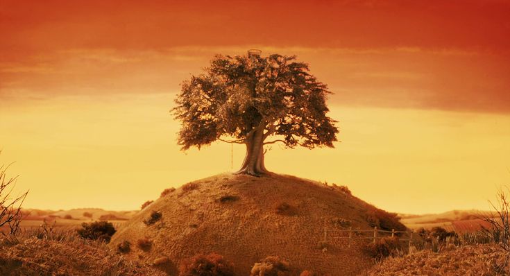 a man standing on top of a dirt hill next to a tree and a dog