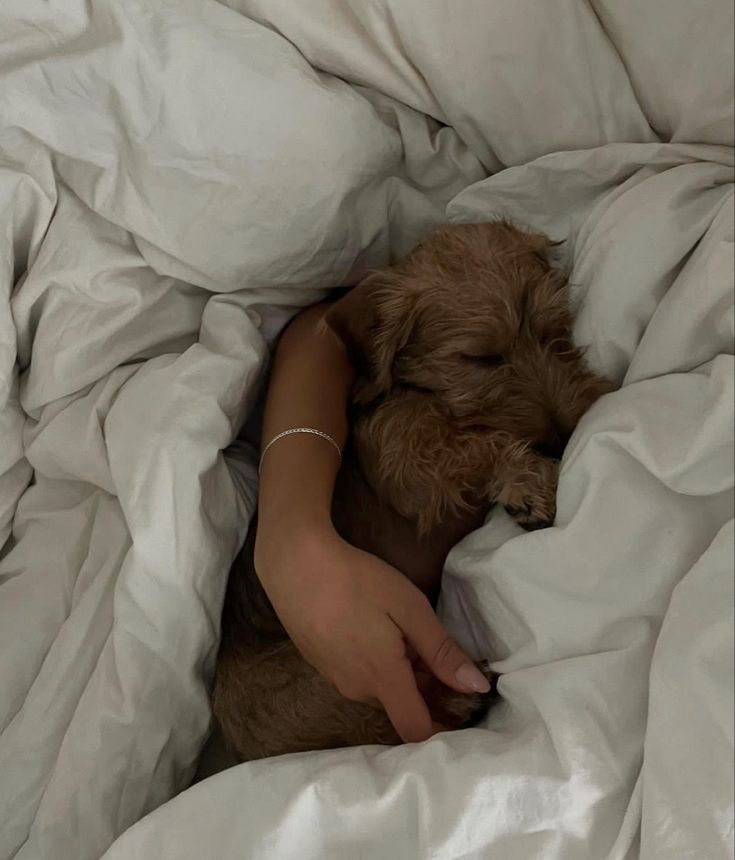 a woman is sleeping in bed with her dog