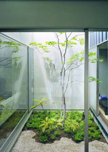 the inside of a glass walled room with plants and rocks in front of it,