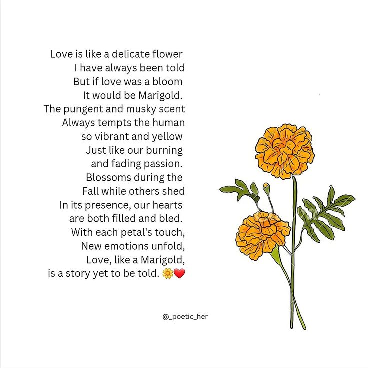 a poem written in the language of love with two yellow flowers