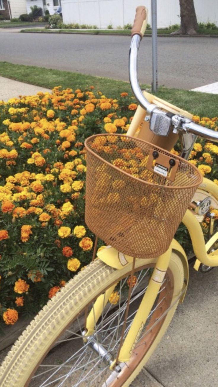 a yellow bicycle with a basket is parked on the side of the road next to some flowers