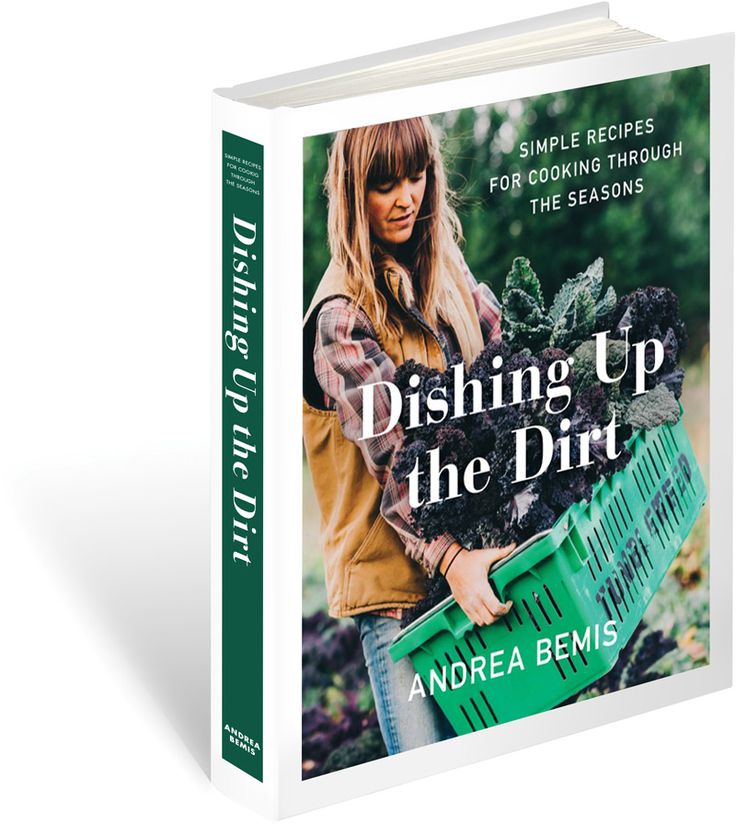 the book cover for dishing up the dirt by anorea bemis is shown