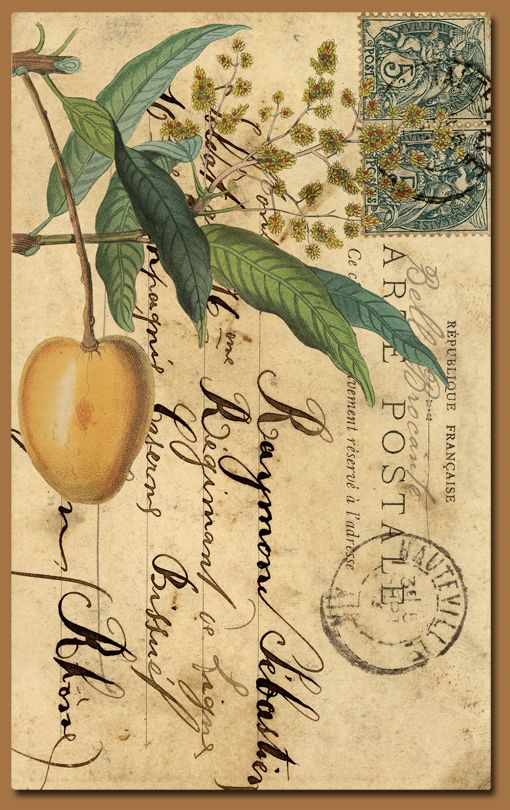 an old fashioned postcard with fruit on it