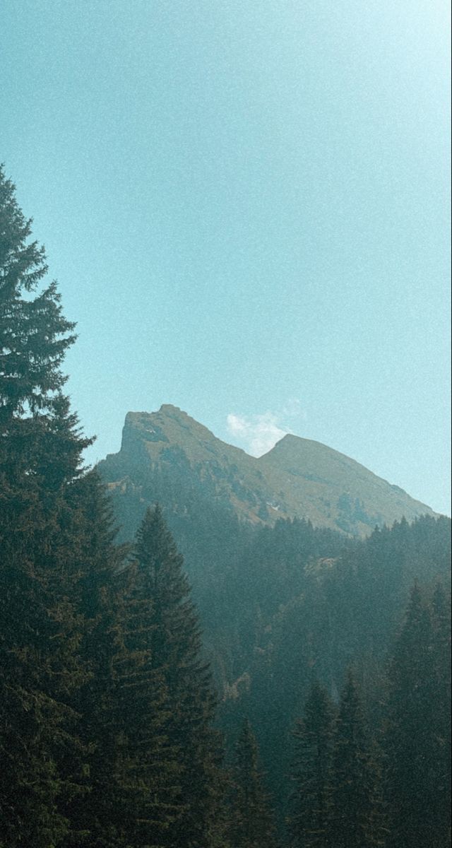 trees and mountains in the distance with blue sky