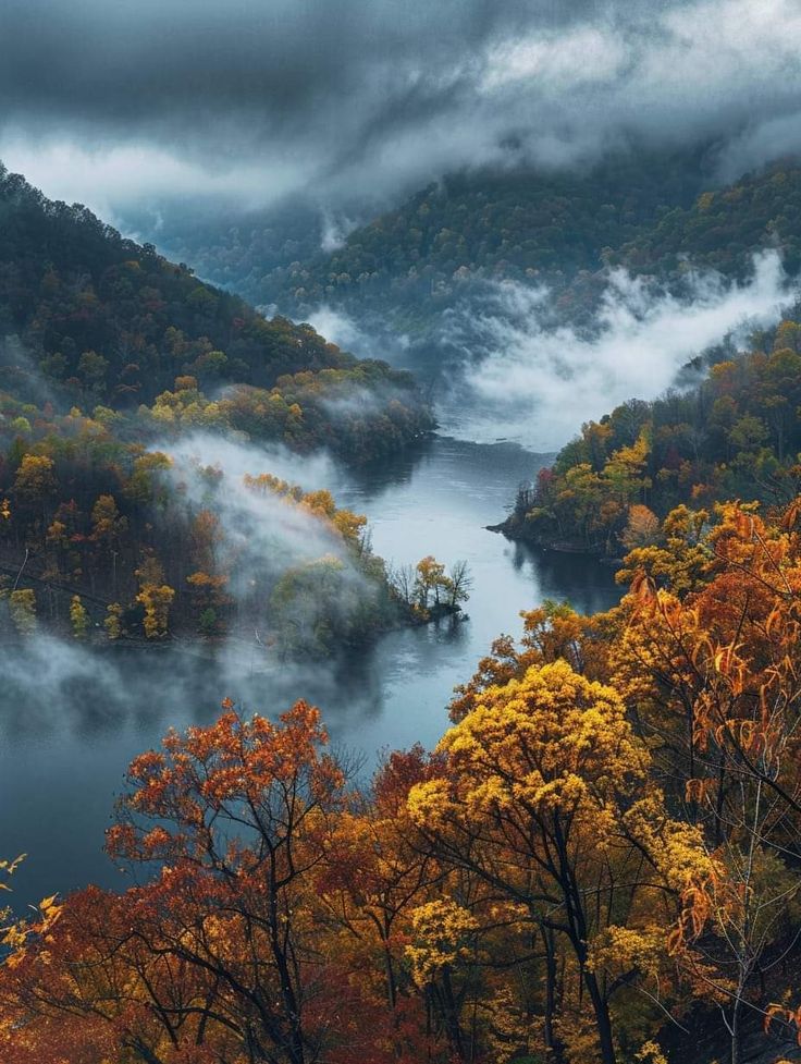 an autumn scene with fog in the valley and trees on the other side, surrounded by mountains