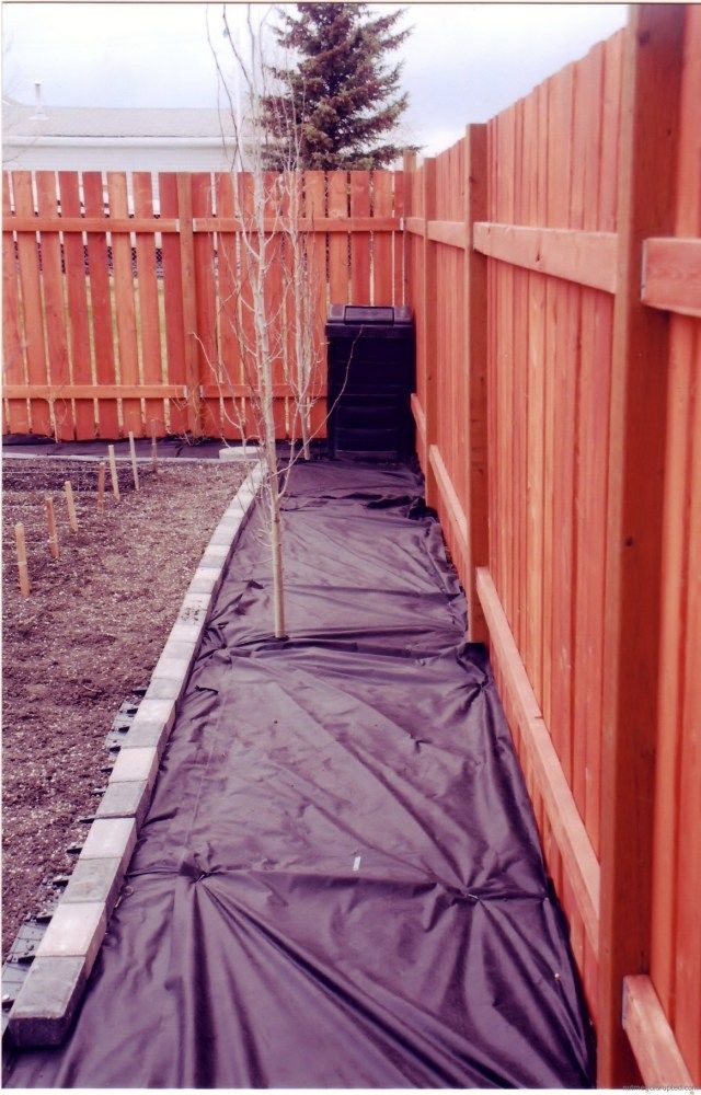 a small tree is growing in the middle of a fenced area with a tarp covering it