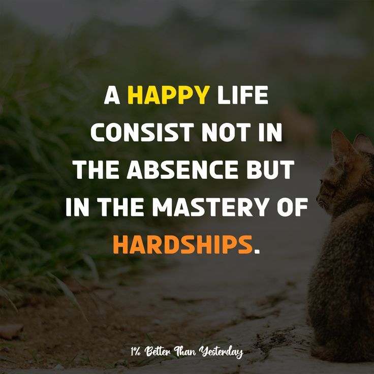 a cat sitting on the ground with a caption that reads, a happy life consist not in the presence but in the mystery of hard