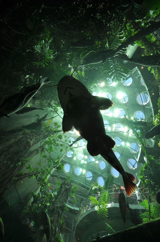 a man flying through the air next to a forest filled with green plants and trees