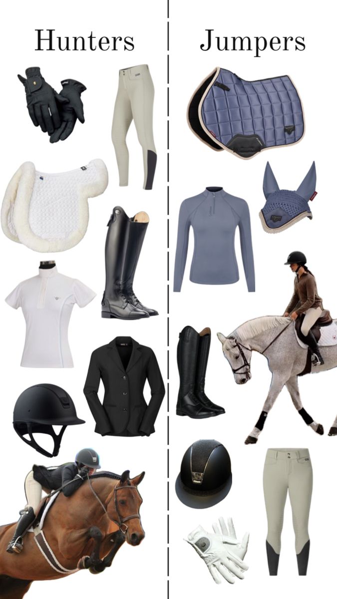 horse riding gear and accessories are shown in two separate images, one is white the other is black