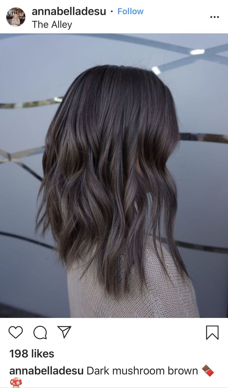 Ashy Hair, Mushroom Brown, Colored Hair Tips, Ash Hair, Hair Color Options, Brown Hair Inspo, Brown Hair Dye, Brown Hair Balayage, Hair Color For Women