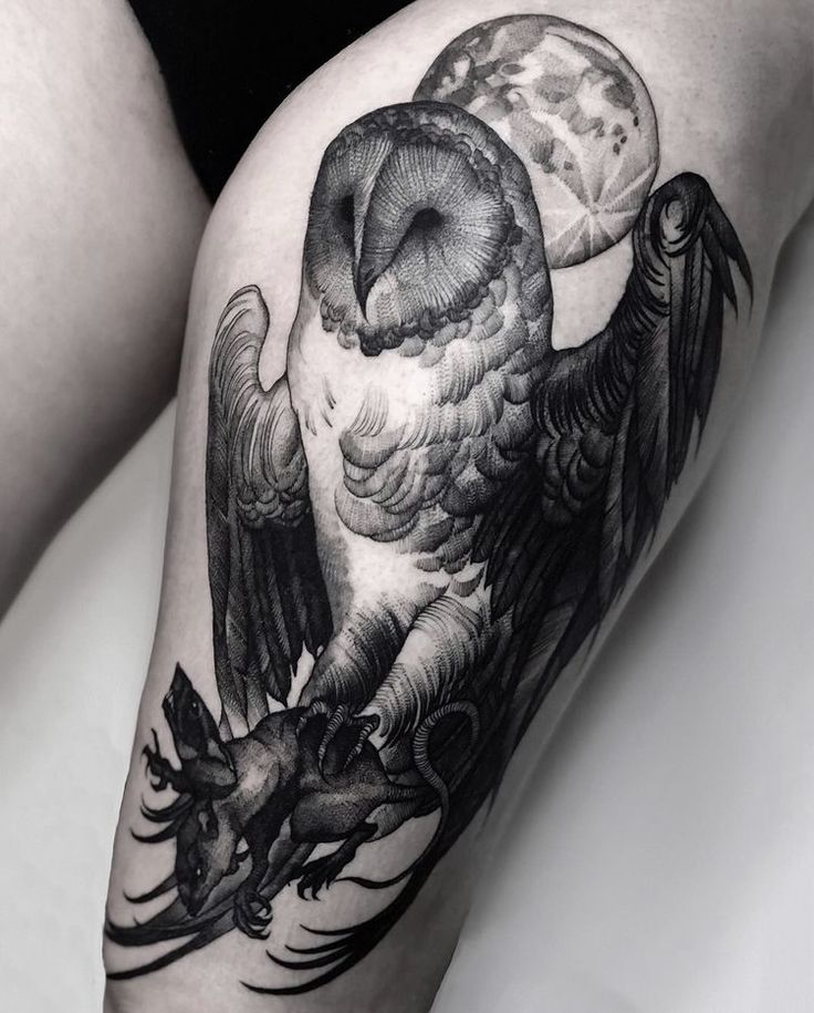 a black and white photo of an owl on the thigh with other animals around it