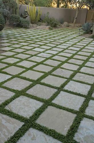 an outdoor patio with grass growing on it