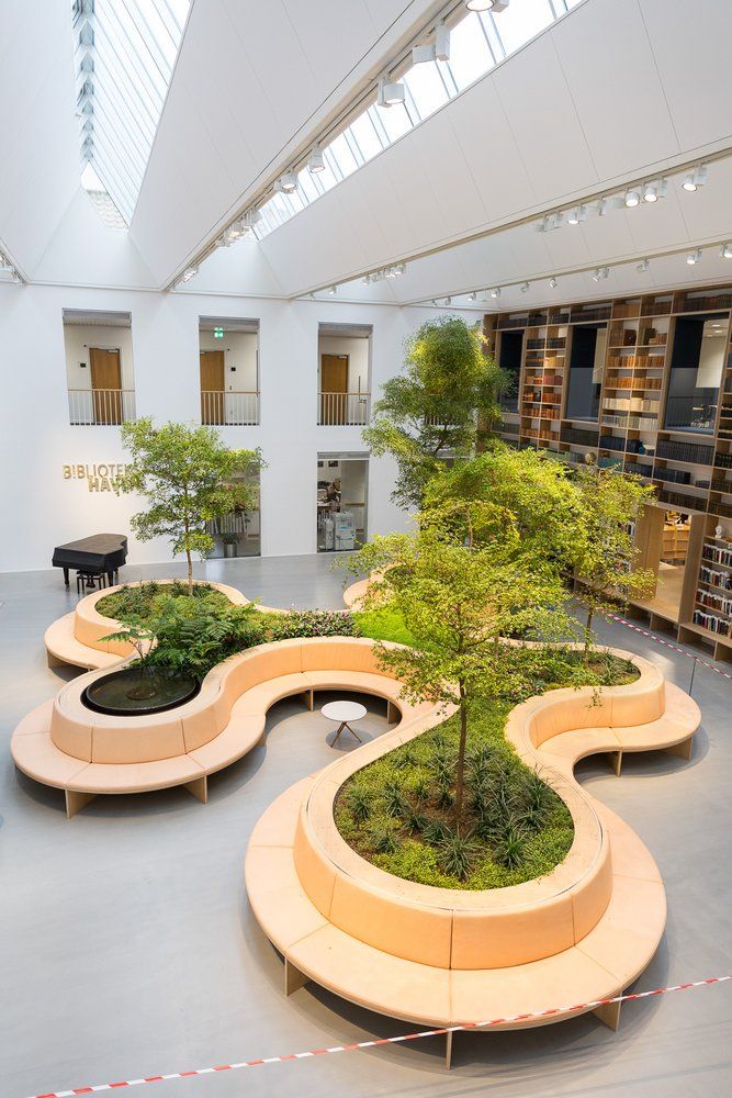 the interior of a library with trees and benches