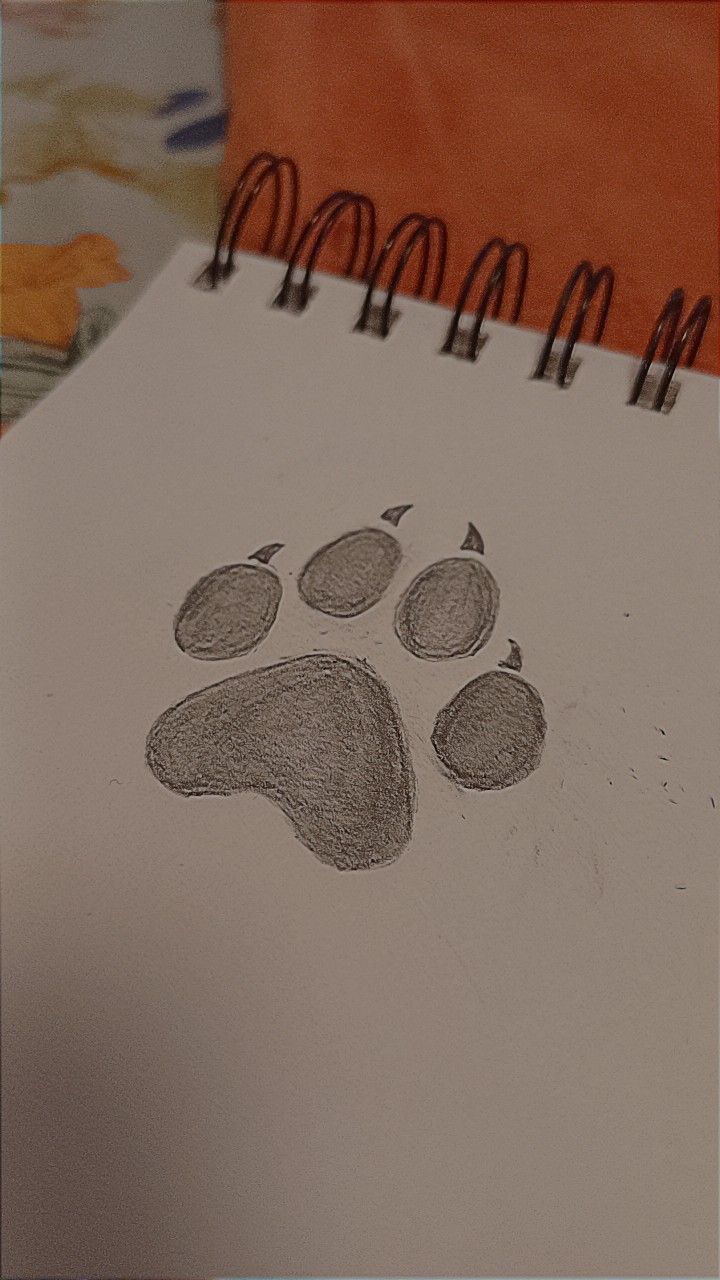 a drawing of a dog's paw on paper