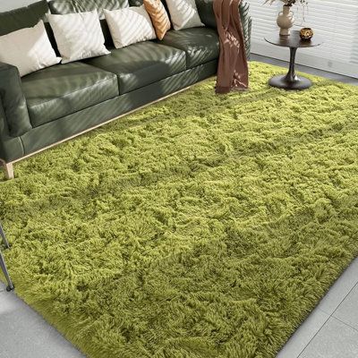 a living room with a green rug on the floor and a couch in front of it