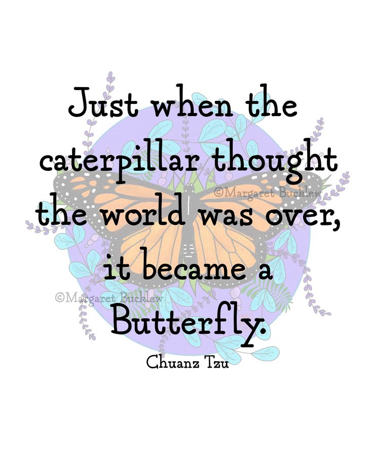 a butterfly with the quote just when the caterpillar thought the world was over, it