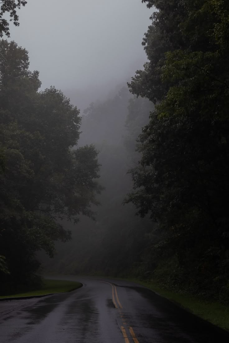 Foggy morning in the mountains Aesthetic Nature Mountains, Me As Weather, Foggy Mountains Aesthetic, Foggy Mountain Aesthetic, Foggy Morning Aesthetic, Foggy Forest Aesthetic, Rainy Mountains, Foggy Aesthetic, Mountains Dark