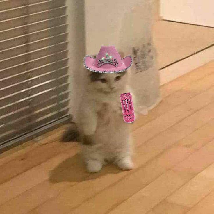 a cat wearing a pink cowboy hat and holding up a pink toothbrush in front of a window