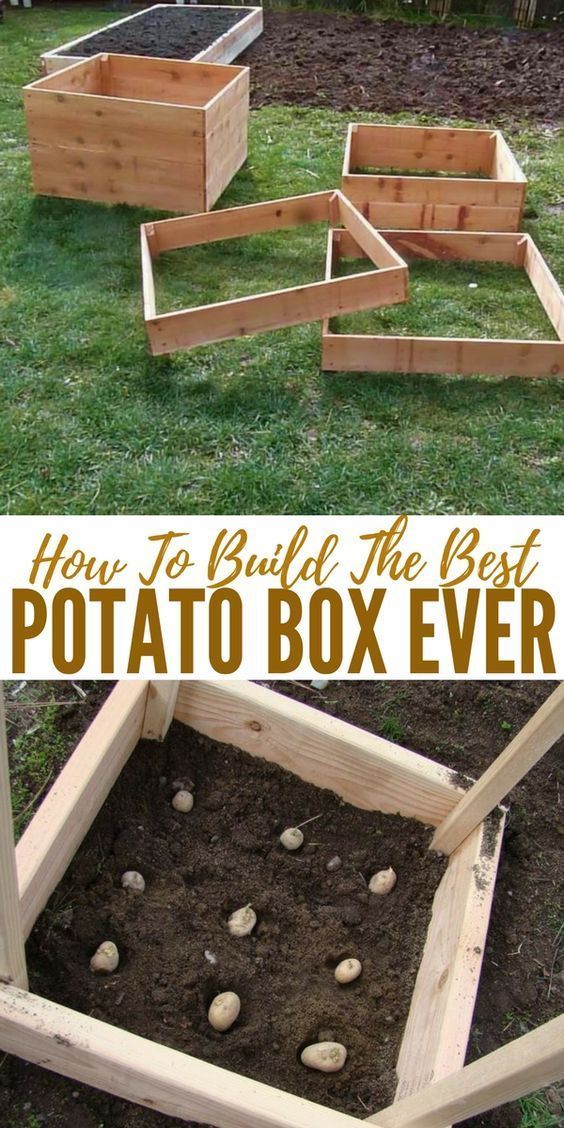 how to build the best potato box ever in your backyard with pictures and text overlay