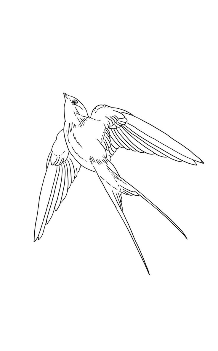 a black and white drawing of a bird flying